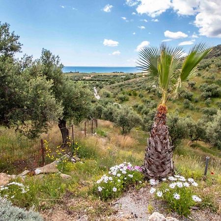 Laconian Collection # Gytheio Sea View Kostantinos Apartment# Selinitsa 外观 照片